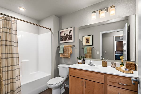 Model-Bathroom-02-Radius-at-15th-MN