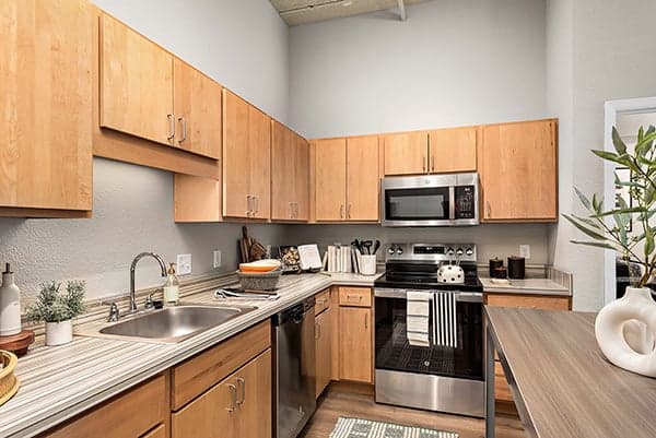 Model-Kitchen-02-Radius-at-15th-MN